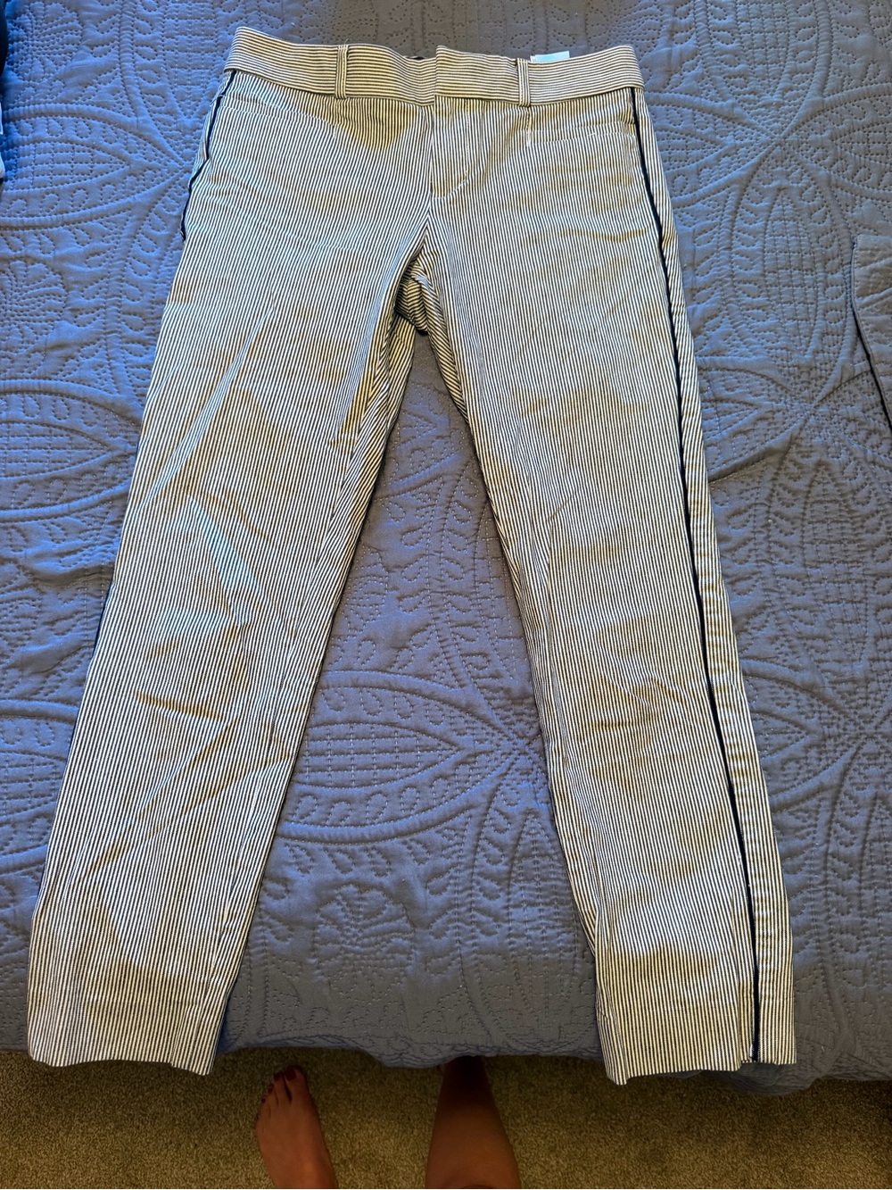 Banana Republic Striped Side-Stripe Women’s Pencil pant - Blue/White